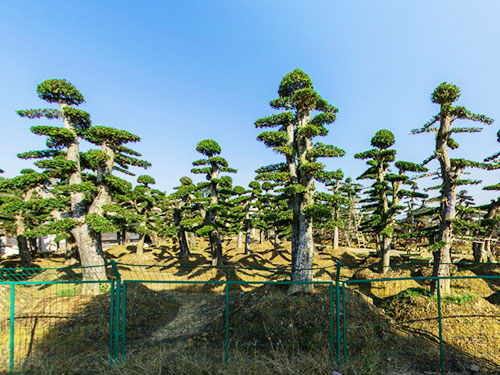 基地展示